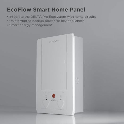 EcoFlow Delta Pro + Smart Home Panel - Whole Home Battery Backup